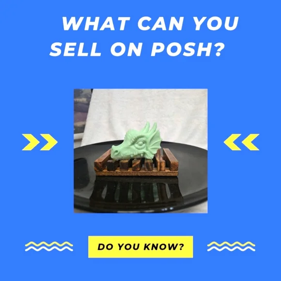 WHAT CAN YOU SELL ON POSH? - Picture 1 of 16